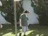 pwnt.gif
