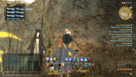 ffxiv_02262014_231717.png