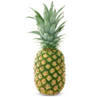 FMCMEA Pineapple