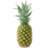 FMCMEA Pineapple