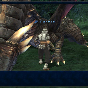 Media '289' in album 'FFXI'