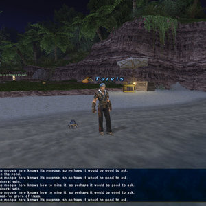 Media '291' in album 'FFXI'