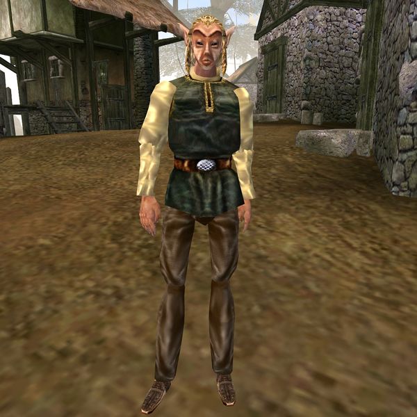 600px-MW-npc-Fargoth.jpg