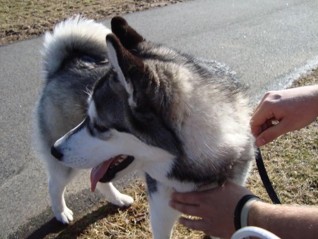 DSC00233.jpg