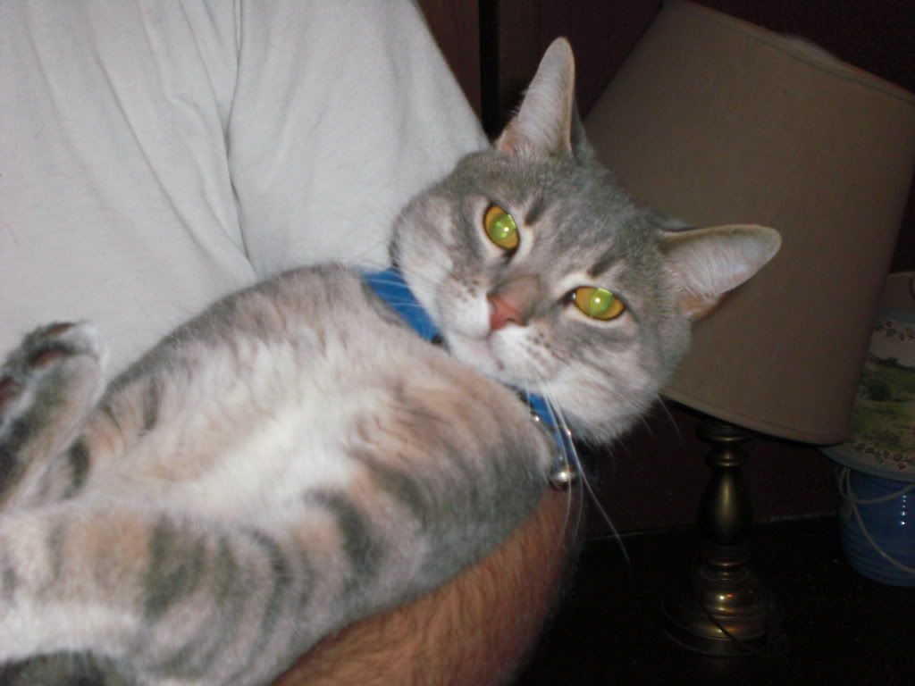 CIMG0661.jpg