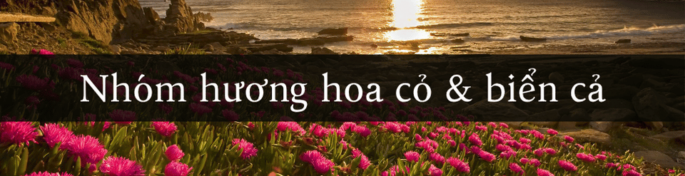 nhom-huong-hoa-co-va-bien-ca.png
