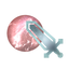 Commando's Seal