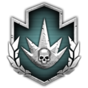 Death from Above