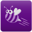 Eye of the Bee-Holder