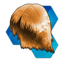 St. Bernard