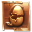 Eggs Over Hard