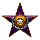 Distinguished Service Medal