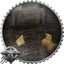 One Big Happy Flock