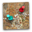 Cartographer