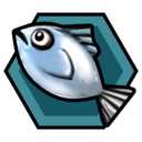 Fish Expert