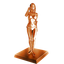 ...I Did It for the Trophy