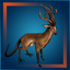 Novice Hunter