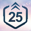 Level 25