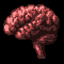 A Cerebral Feast