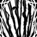 Snared Silk