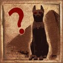 Codex of Cat