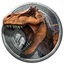 Rex Rider
