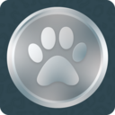 Silver Award