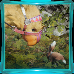 Achievement Icon