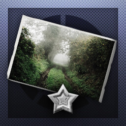 Achievement Icon