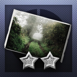 Achievement Icon