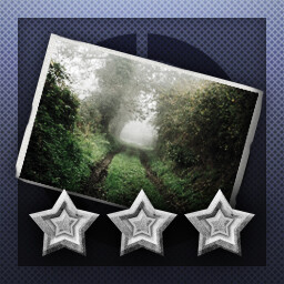 Achievement Icon