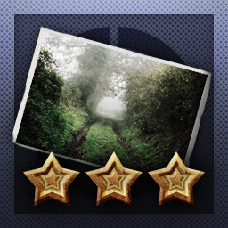 Achievement Icon