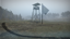 Explore The Bog