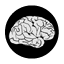 Inquisitive Mind