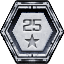 Silver Winner