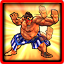 Technical Fighter