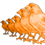 Migration
