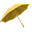Weather Report