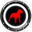 Alpha Dog