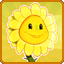 Sun Heals