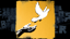 Free Birds