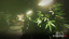 Herbalist