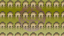 Impregnable Fortress