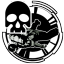Lethal Enforcer