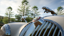 #Forzathon Better Than Best