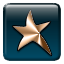 Bronze Star