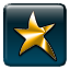 Gold Star
