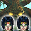 Forgotten Forest Co-Op 'A'