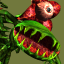 Forgotten Forest Expert