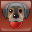 The Pooch Pamperer